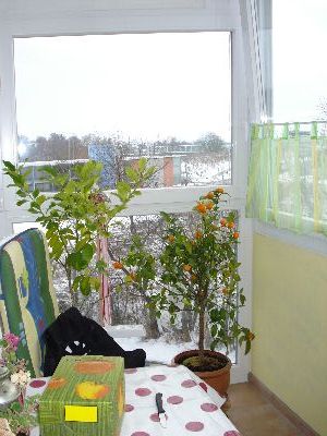 3 Zimmer Wohnung Markt Schwaben